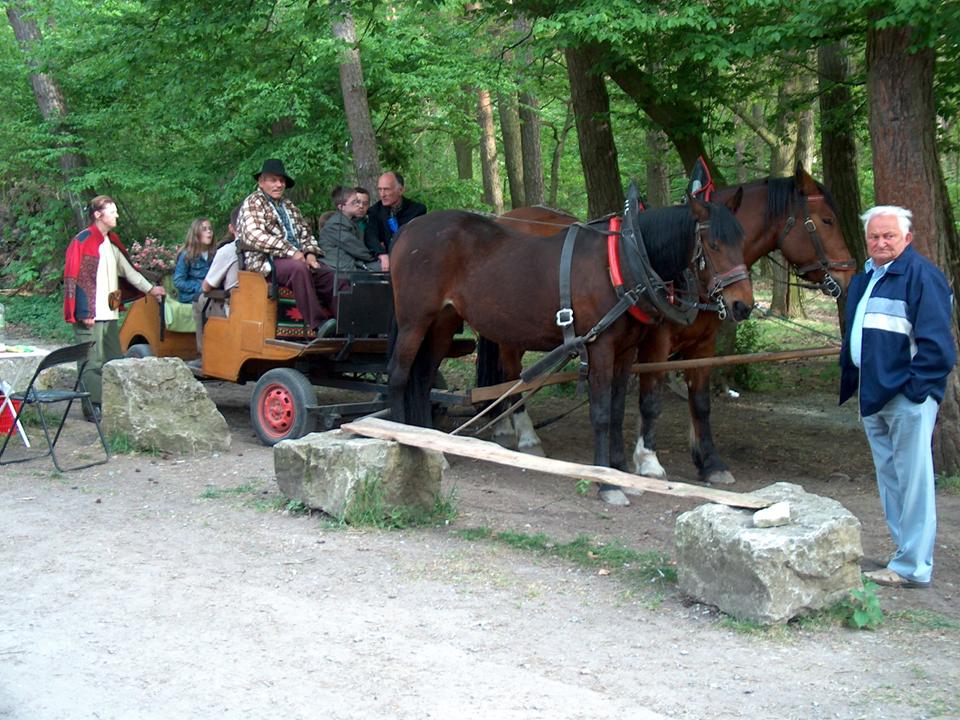 Mit einer Kutsche fuhr ein Teil der Teilnehmer zum Busparkplatz zurück