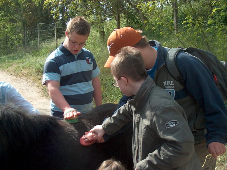 Die Kinder dürfen das Pony pflegen