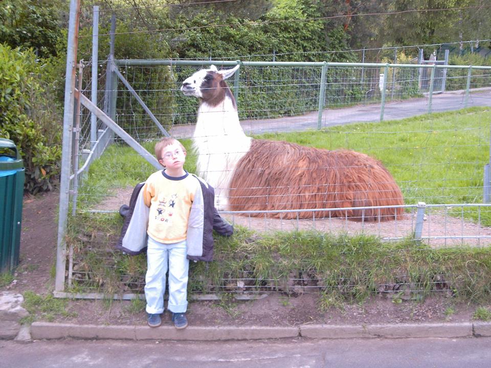 Ein Ausflug in den Zoo:
 ein großes Lama direkt am Zaun erweckte so viel Interesse, dass sogar dieses Foto möglich wurde